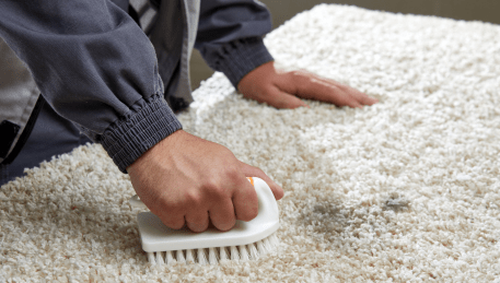 Professional Rug Cleaning Darling